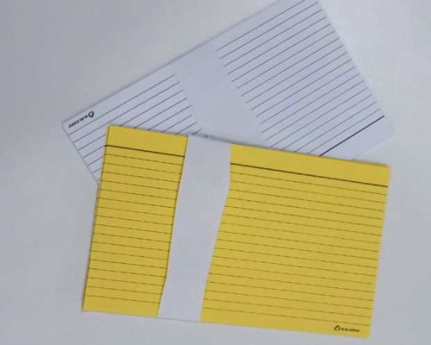 FICHA BIBLIOGRĂFICA 20X12,5 X10 UNID.