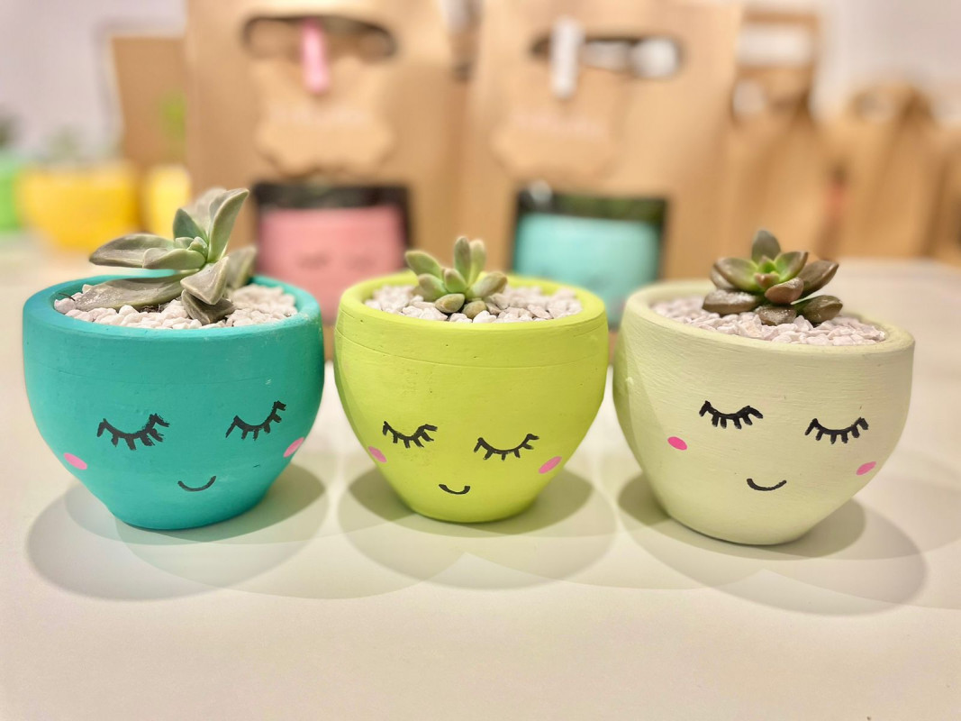 Macetitas decorativas x 3