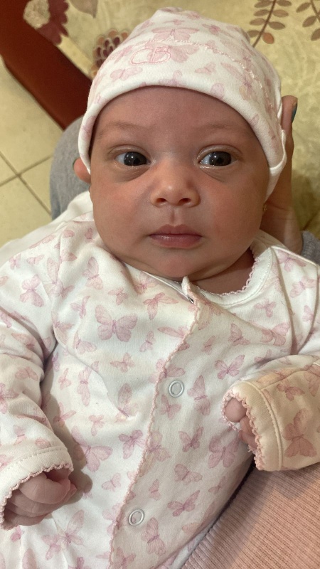 enterito estampado tablitas