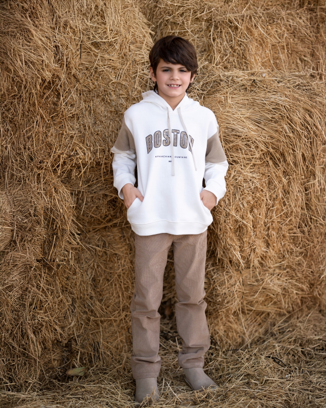 buzo frisa estampa boston