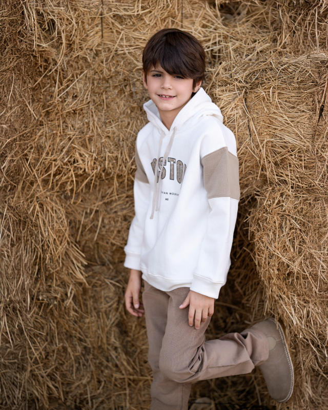 buzo frisa estampa boston