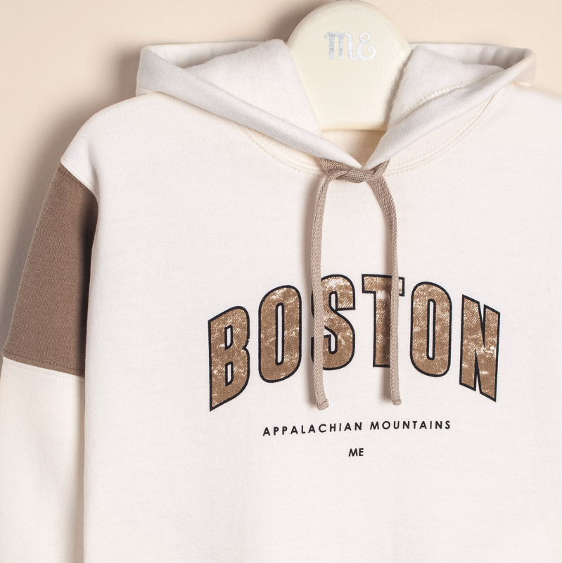 buzo frisa estampa boston