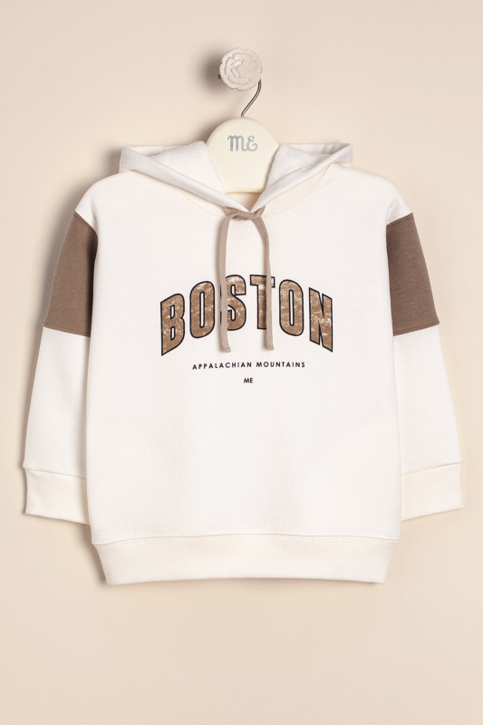 buzo frisa estampa boston