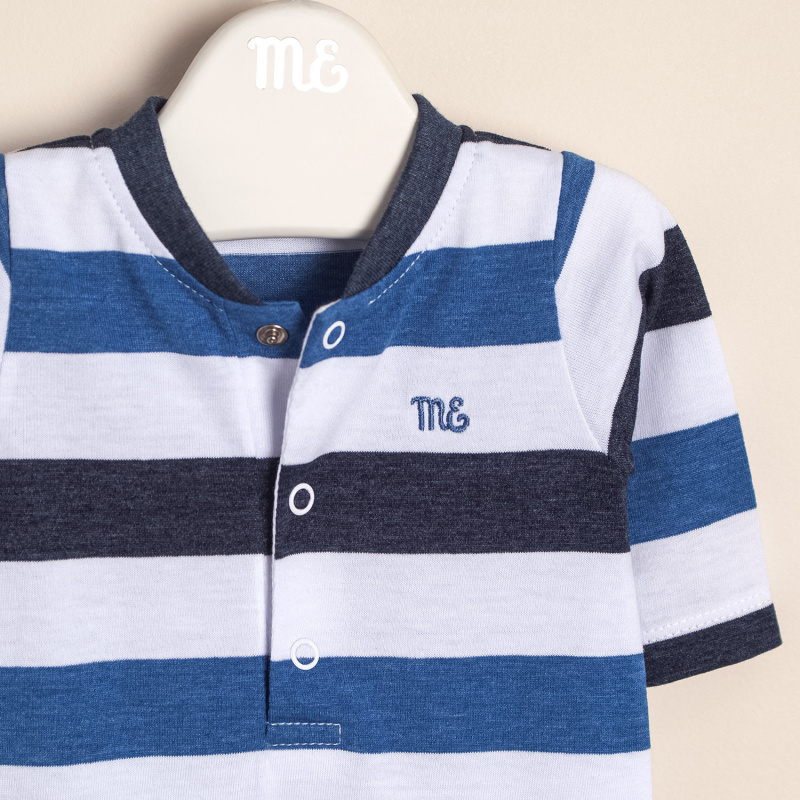 enterito rayado beni