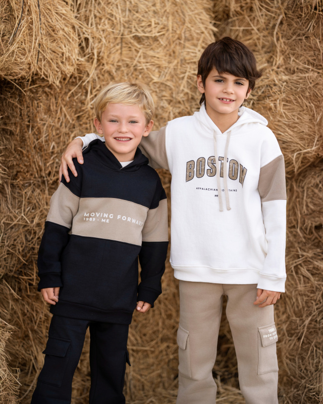 buzo frisa estampa boston