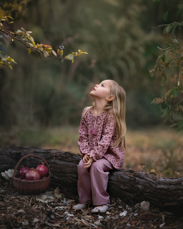 blusa de gasa estampado jazmin