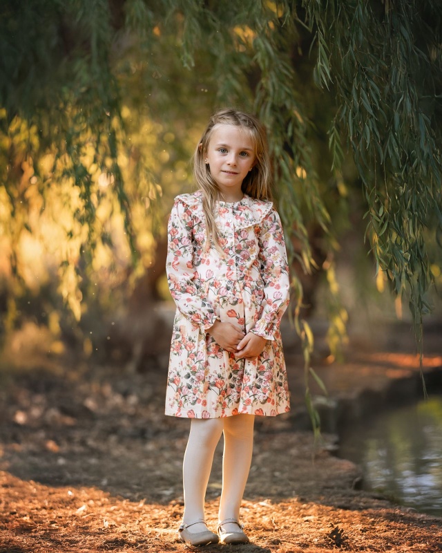 vestido estamp exclusivo loletta