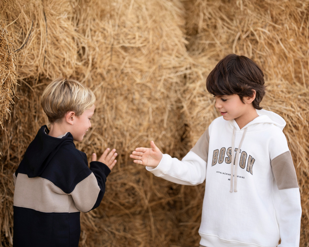 buzo frisa estampa boston