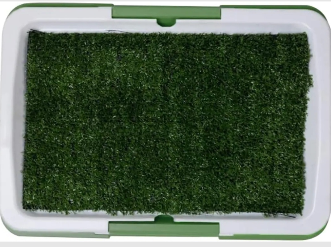 TAPETE SANITARIO ENTRENADOR PARA MASCOTAS - ORINAL - PERRO