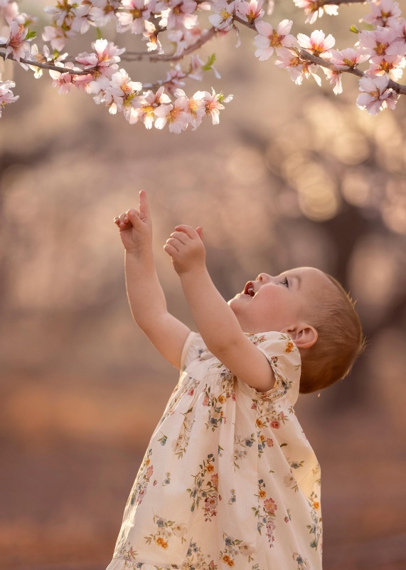 vestido de bb poplin de algodon estampado anna