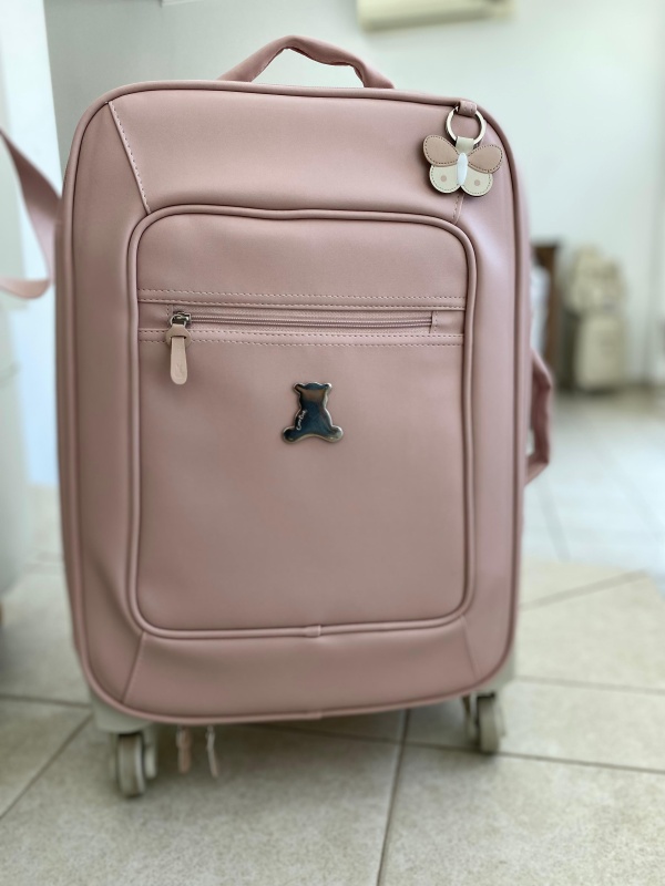 carry on borboleta rosa