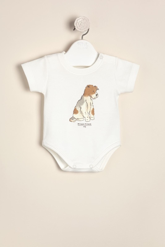 body estampado schnauzer