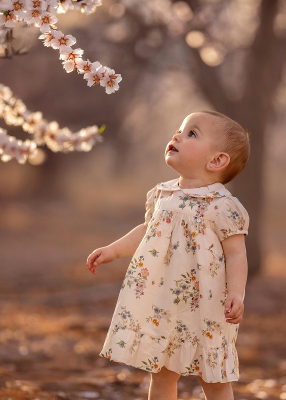 vestido de bb poplin de algodon estampado anna