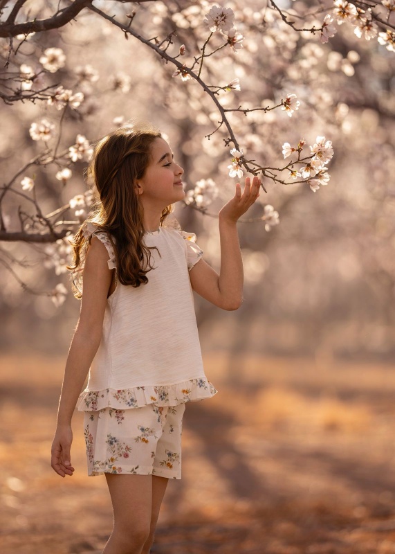 short poplin estamp anna