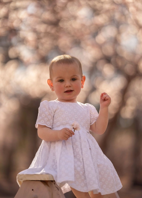 vestido de broderie anna