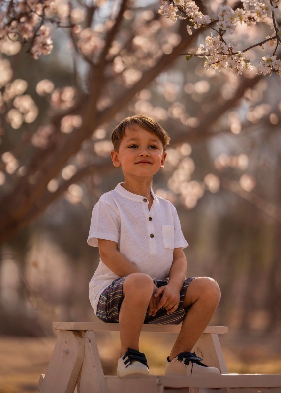 bermuda de poplin rayado ricard