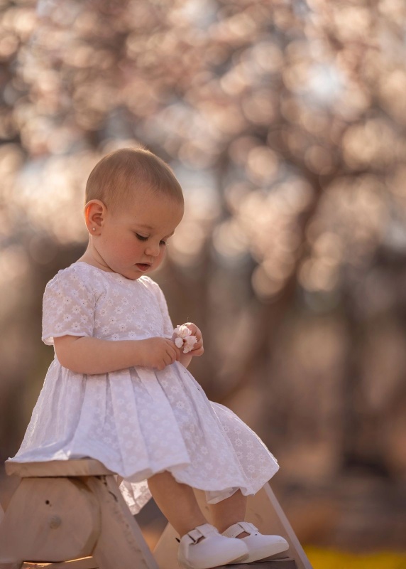 vestido de broderie anna