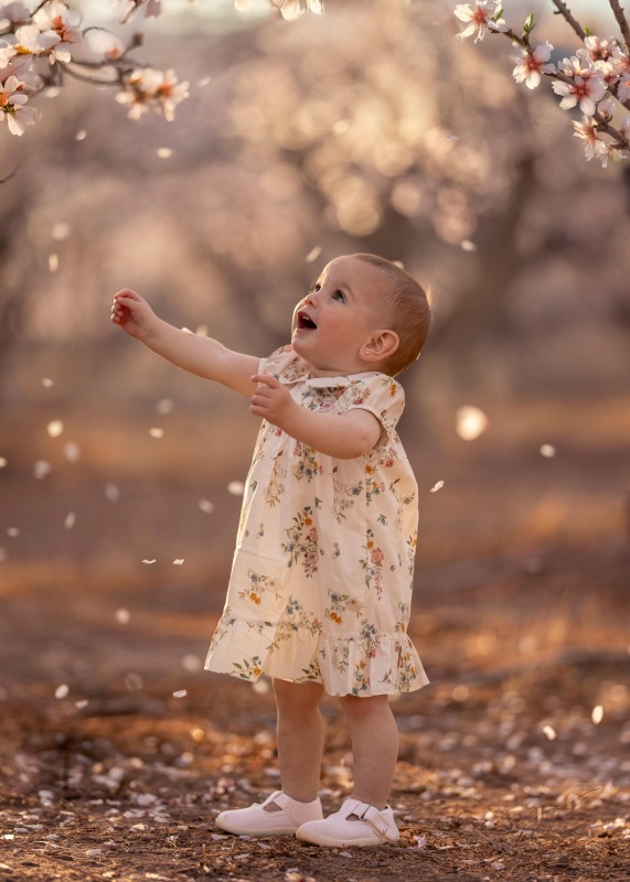 vestido de bb poplin de algodon estampado anna