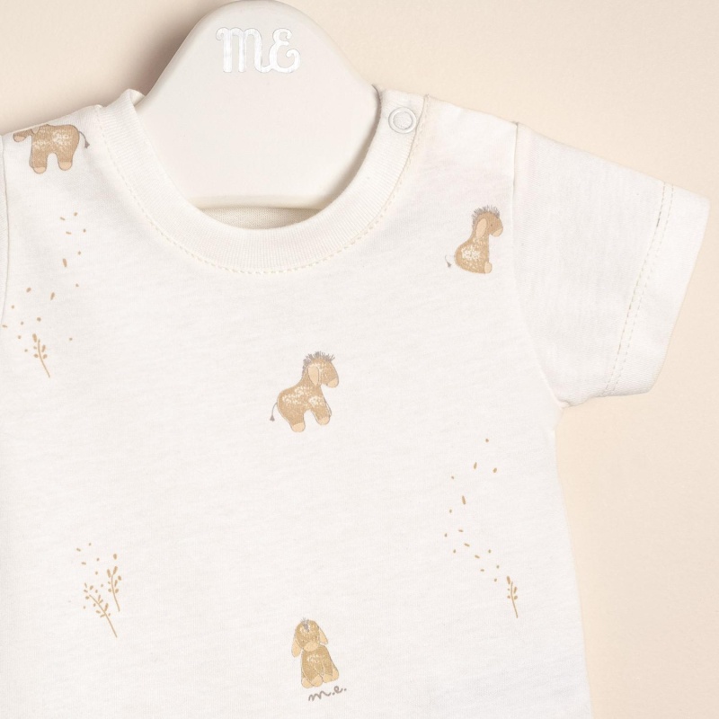 enterito de algodon estamp