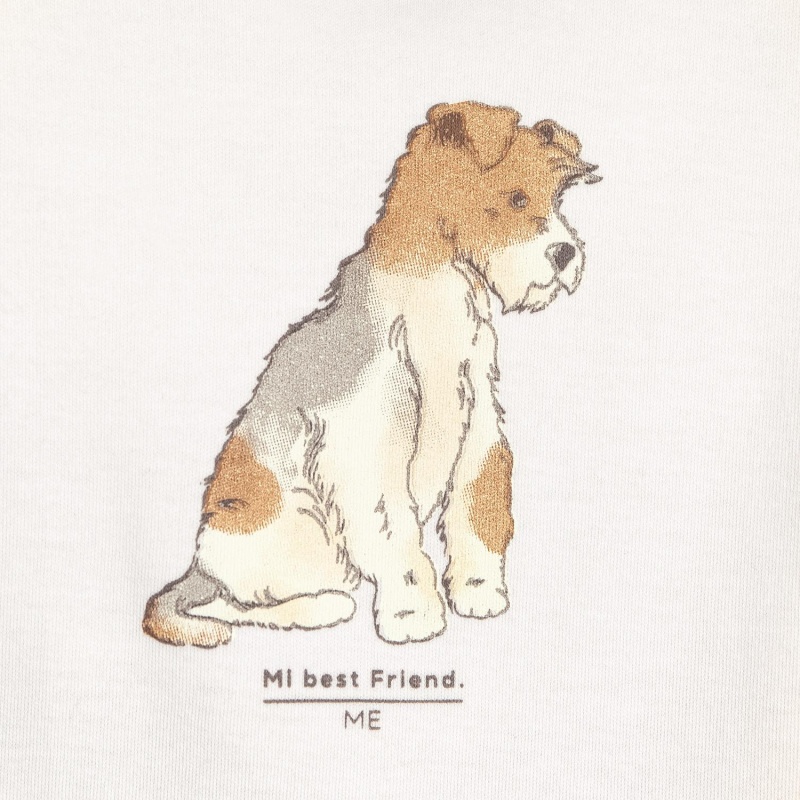 body estampado schnauzer