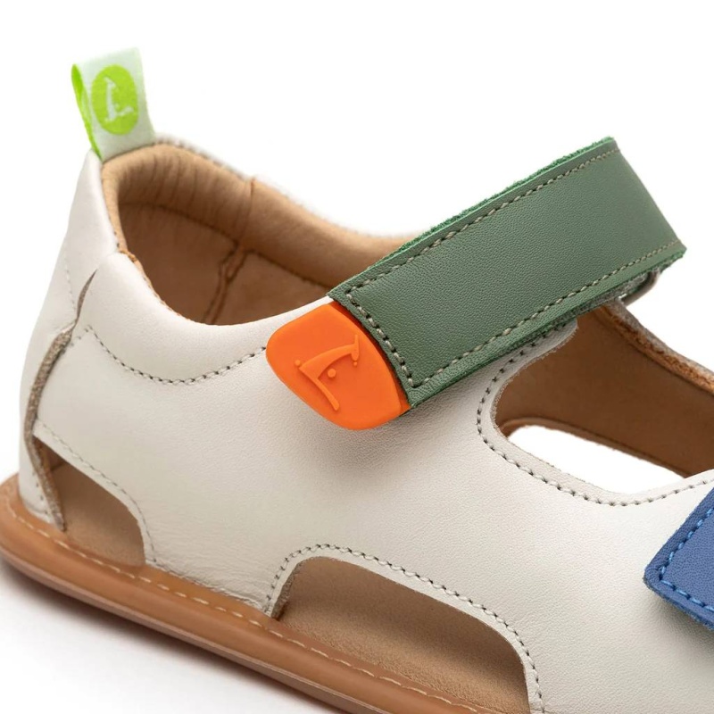 explore tapioca/blue/salsa