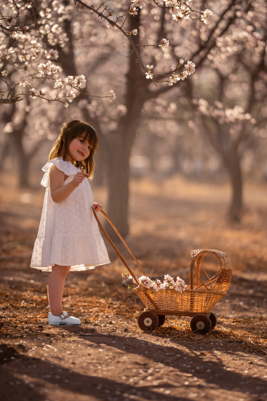 vestido de gasa bordada anat