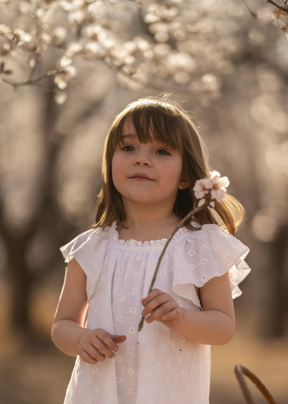 vestido de gasa bordada anat
