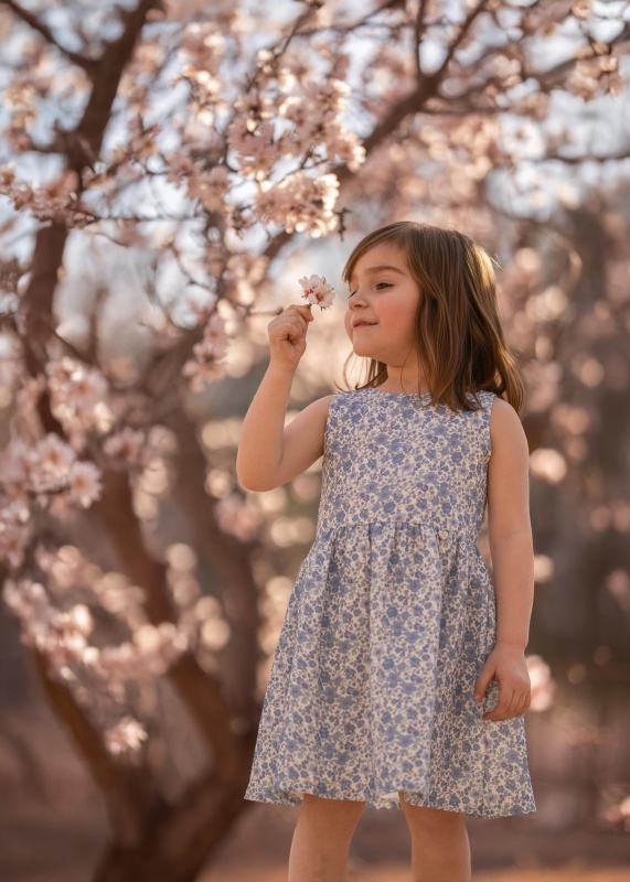 vestido en gasa estamp liberty garden blue