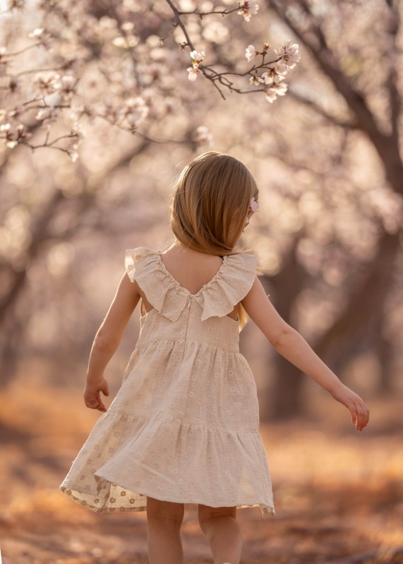 vestido de gasa simple bordada anne