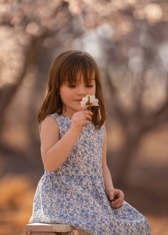 vestido en gasa estamp liberty garden blue