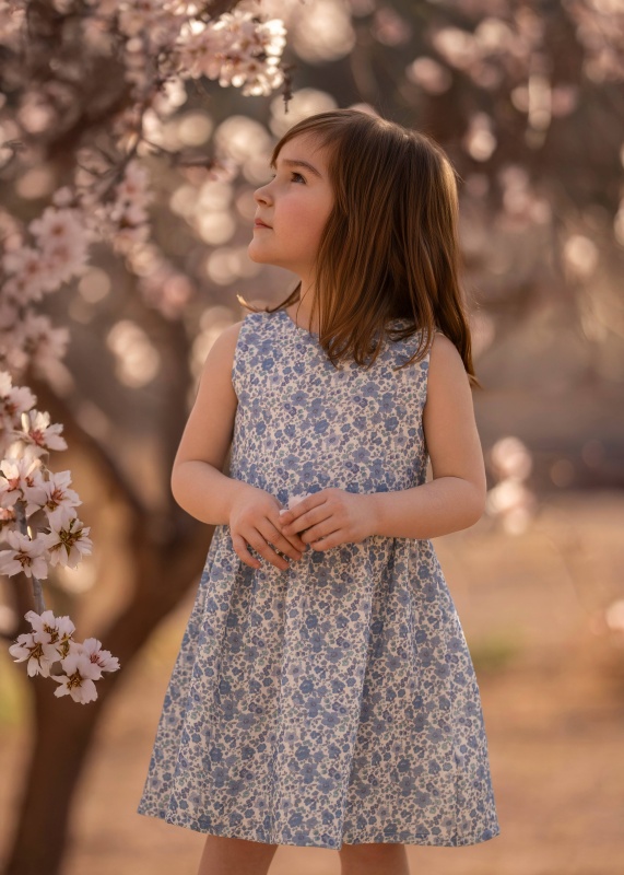 vestido en gasa estamp liberty garden blue