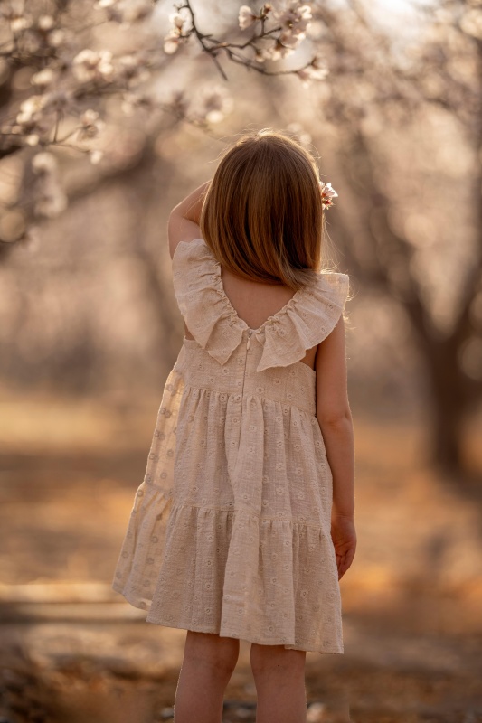 vestido de gasa simple bordada anne