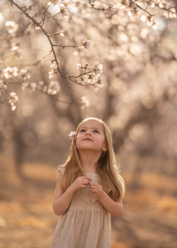 vestido de gasa simple bordada anne
