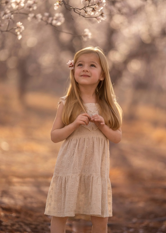 vestido de gasa simple bordada anne