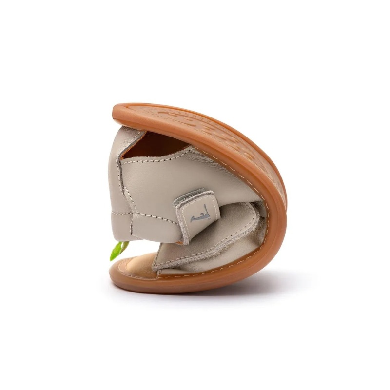 crunchy tapioca/blue tang/pu mice