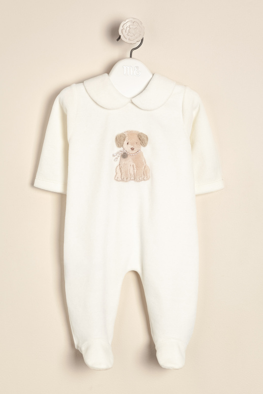 enterito de plush bord dog