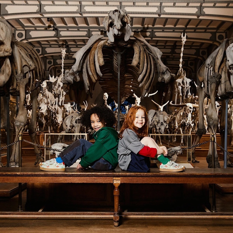 veja x museum small splar leat dino