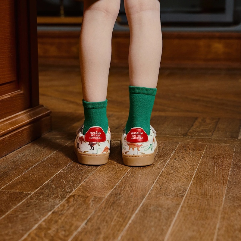 veja x museum small splar leat dino