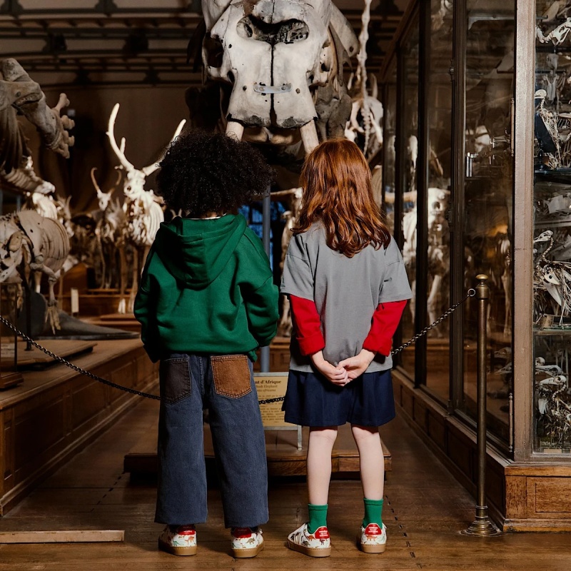 veja x museum small splar leat dino