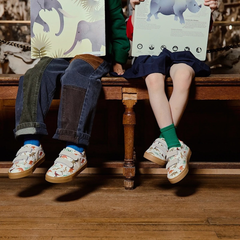 veja x museum small splar leat dino